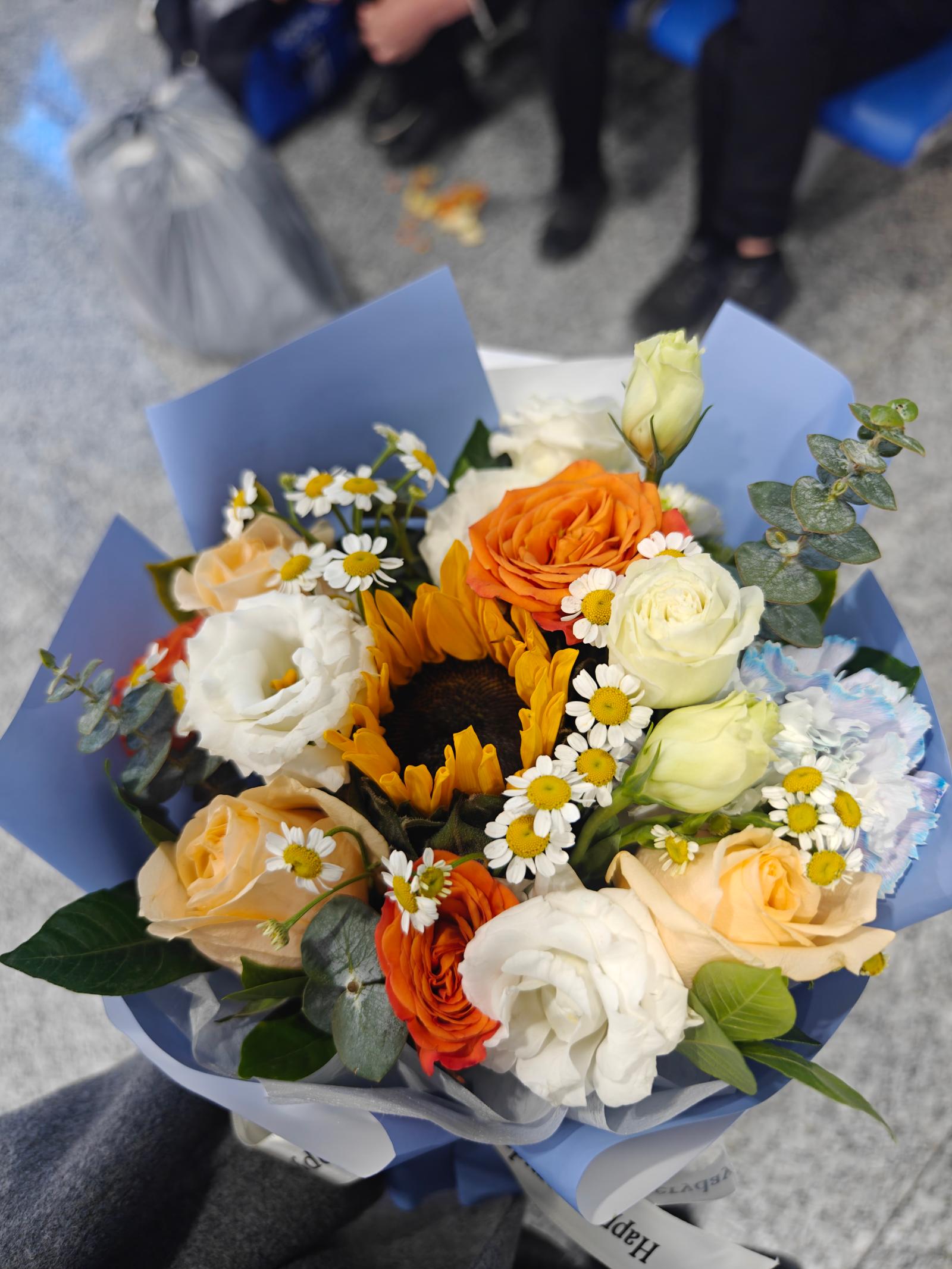 IMG20240310232910.jpg